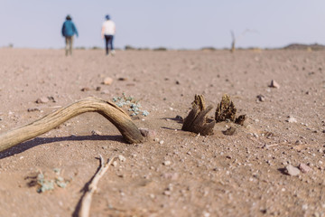 Trockener Ast in der Wüste Afrikas mit 2 Menschen im Hintergrund