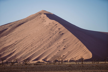 Fototapeta na wymiar Düne in Namibia, Afrika