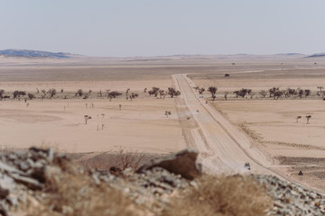 Schotterstraße durch die Wüste Afrikas