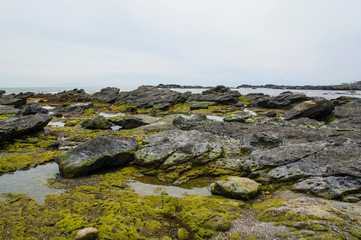 Fototapeta na wymiar 地層構造がはっきり分かる城ヶ島の海岸部