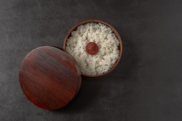 日の丸弁当Umeboshi with rice (Japanese pickles of plum)