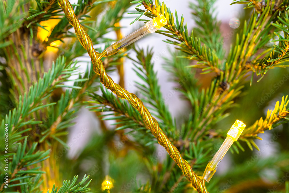 Canvas Prints yellow string lights on natural christmas tree close-up indoor