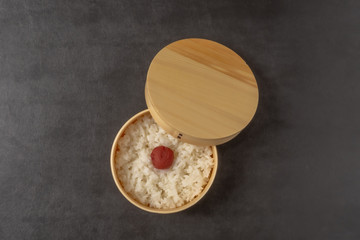 日の丸弁当Umeboshi with rice (Japanese pickles of plum)