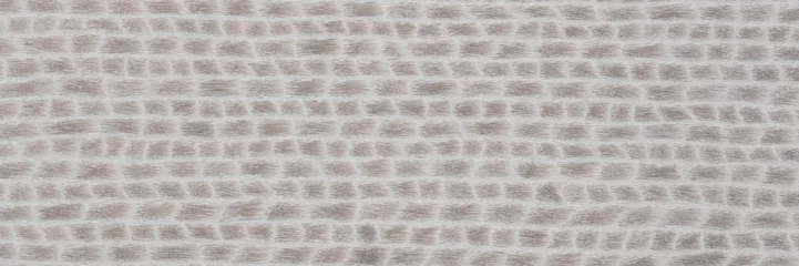 Foto op Canvas Aantrekkelijke grijze fineerachtergrond voor uw klassieke stijl. Natuurlijke houtstructuur, patroon van een lang fineerblad, plank. © Dmytro Synelnychenko
