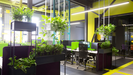 Modern natural office interior with green plants and computers