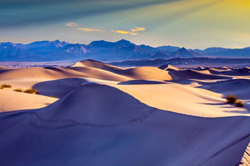Magical desert morning