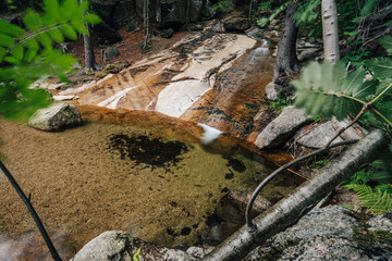 Small waterfall and a creek pond in the forest of Jizerske hory, Czech republic.