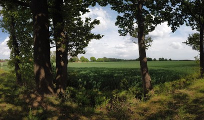 beautiful view in Europe with green sky and summer time in Germany