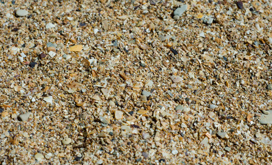 texture of a stone