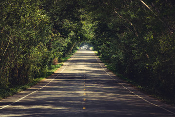 winding road .Mountain road with a tunnel of trees.long road in countryside of Thailand.