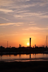 Obraz premium Sunset with bird