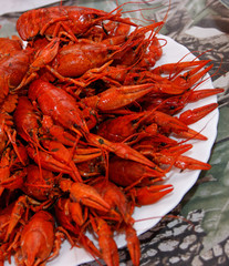 red boiled crayfish. many boiled crayfish. a lot of hot fresh boiled red crawfish
