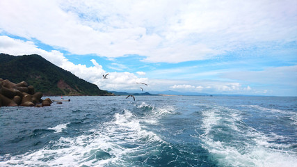 日本海の波　浦富海岸