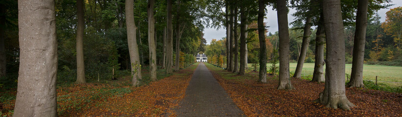 Estate, Fall. Autumn. Huis Westerbeek. Maatschappij van Weldadigheid Frederiksoord Drenthe Netherlands Panorama lane