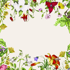 Vintage Canadian wild flowers frame vector