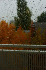 Rainy day  in autumn season