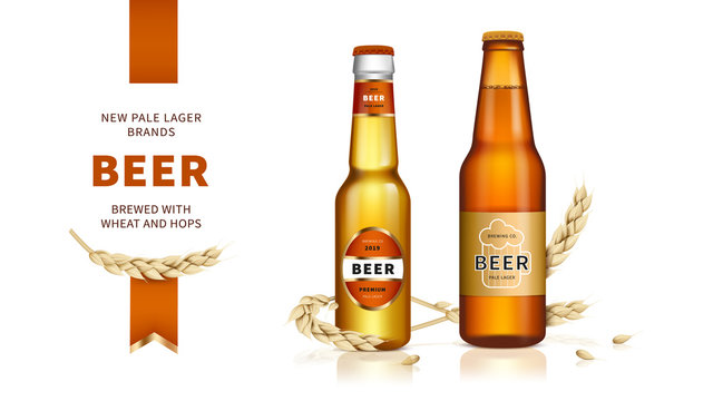 Wheat craft beer. Golden beer, refreshing alcoholic drink brewed from wheat and hops in glass bottle and lying spikelets on white glossy background, vector ads promotional banner.
