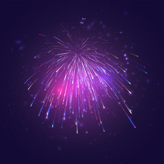 multicolored vector fireworks, explosion of joy in the sky