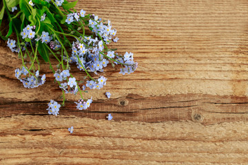 Forget-me-not flowers on rustic wooden background
