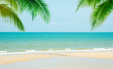 Naklejka na ściany i meble Coconut tree leaf on the tropical beach with space for text , summer,holiday, vacation weekend or relax ,summer mid year sale concept 