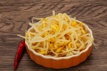 Soy sprout heap in the bowl