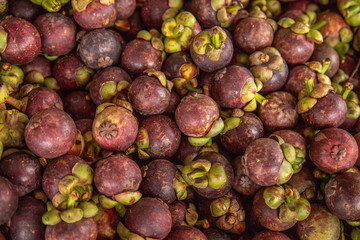 Pile of mangosteens in market stall. Heap of mangosteens for sale in fruit shop at fresh market. Mangosteen or Garcinia mangostana is asia fruit