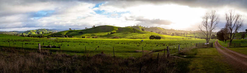 Amazing Winter Sunrise in Rural Victoria - Mansfield in Victoria, Australia. Australian landscape, road leading to a property - Panorama © Arun