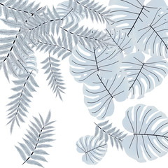  Vector tropical pattern