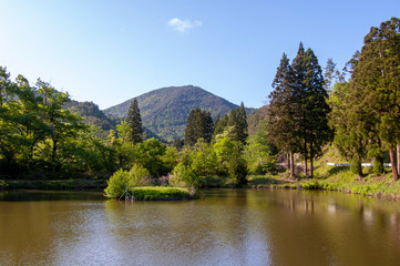 Fototapeta premium 池