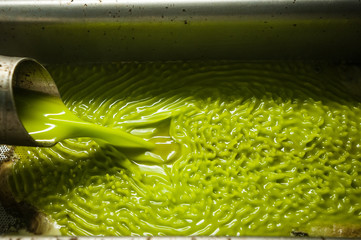 pomace oil pouring into tank at a cold-press factory after the olive harvesting