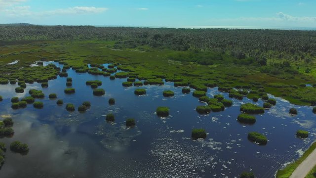 The great Icacos lagoon during the wet season on the southwestern peninsula of Trinidad