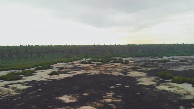 Epic aerial view of the great icacos wetland during a severe dry season on the south western peninsula of Trinidad