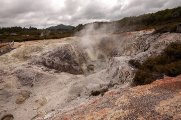 Colorful Rotorua, shrouded in pairs rising from the ground. North Island of New Zealand