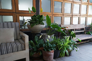 Fototapeta na wymiar Patio chair and table terrace decorated with outdoor green potted plants 
