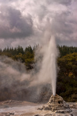 Lady Knox Geyser. He spits every day at 10.15 sometimes to a height of up to twenty meters. North Island of New Zealand