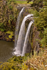 Fototapeta na wymiar The breathtaking Whanagarei Falls is surrounded by vegetation of the South Island of New Zealand