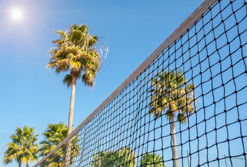 Conceptual sporty view of a tennis net on a background of palm trees and bright sun.