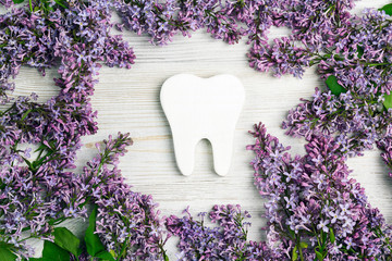 White tooth surrounded by lilac flowers. Dental health concept.