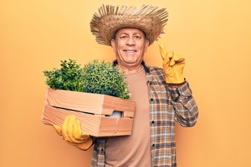 Senior man with grey hair wearing gardener hat holding wooden plant pot smiling with an idea or...