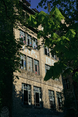 Fototapeta premium Hidden Ruin