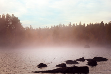 Mystischer Wald an einem See im Nebel