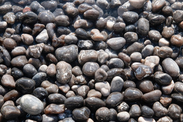 wet rocks laying in the water with sun stars