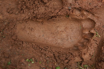 Footprint in the soil the ground
