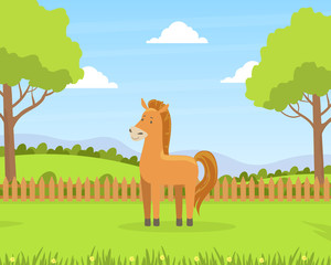 Obraz na płótnie Canvas Beautiful Summer Rural Landscape with Green Field and Grazing Horse Barn Cartoon Vector Illustration