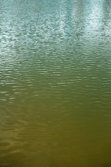 Mouvement d'eau en surface