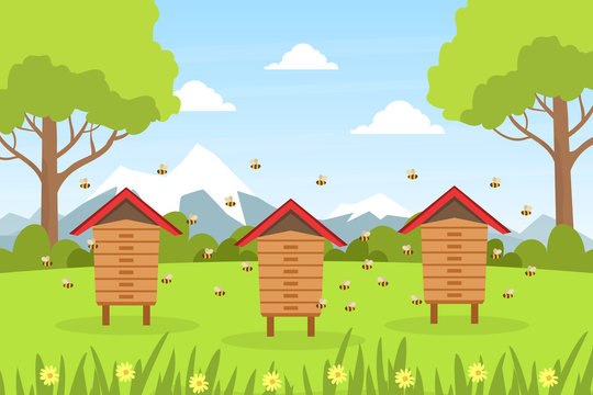 Beautiful Summer Landscape with Green Meadow, Wooden Beehives and Bees Cartoon Style Vector Illustration. Cartoon Vector Illustration