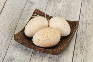 Three big raw turkey egg