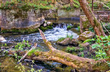 Tree trunk with moss at the small waterfall. Warnow Durchbruchstal in Mecklenburg-Vorpommern. Germany