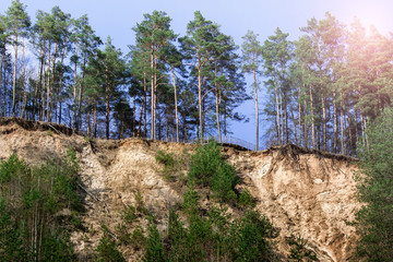 Fototapeta na wymiar Landscape with a sand cliff and forest of pine trees. Touristic place.