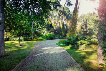 Pathway in an idyllic park with plenty of foliage on a sunny day.